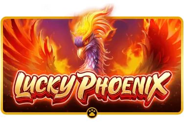 joy 9 casino